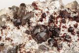 Spessartine Garnets With Smoky Quartz On Feldspar - China #201518-2